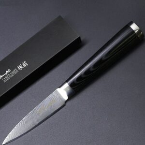 Japonský damaškový kuchyňský nůž VG10-Paring KP3171